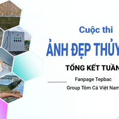 Ảnh Đẹp Thủy Sản: Kết quả tuần 4